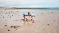 Beach game of rounders