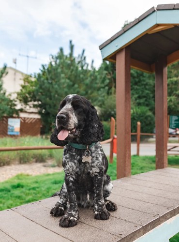 Why choose Haven for your weekend break?