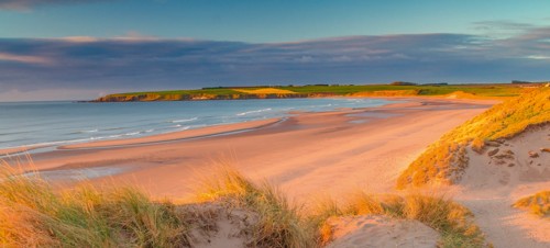 17. Lunan Bay Beach, Angus