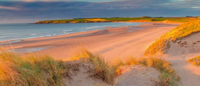 17. Lunan Bay Beach, Angus