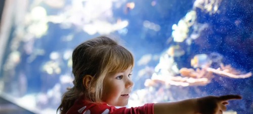 Best places to visit for kids aged 4-11 in Yorkshire 