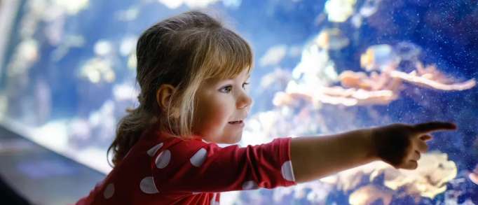 Best places to visit for kids aged 4-11 in Yorkshire 