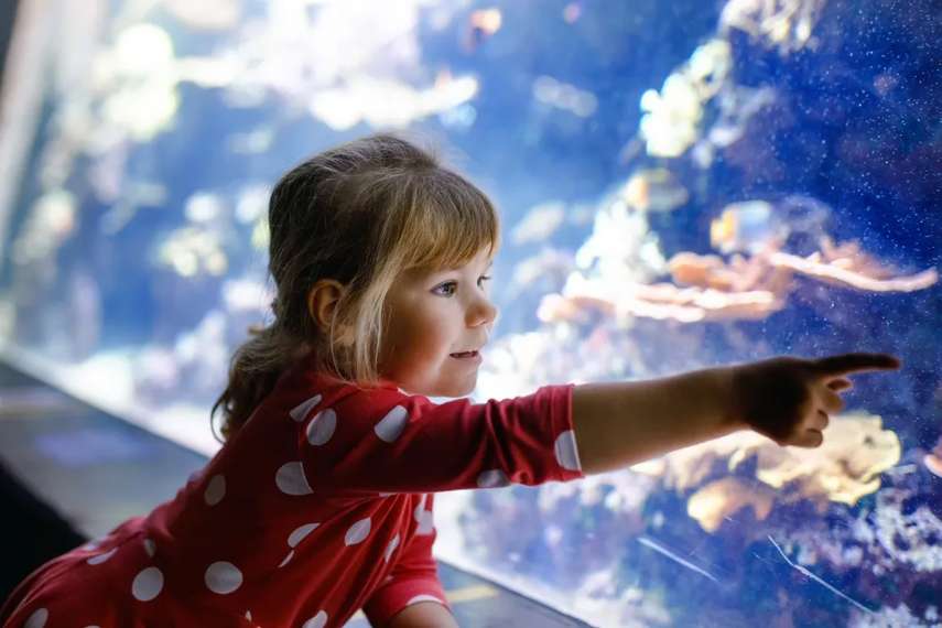 Best places to visit for kids aged 4-11 in Yorkshire 