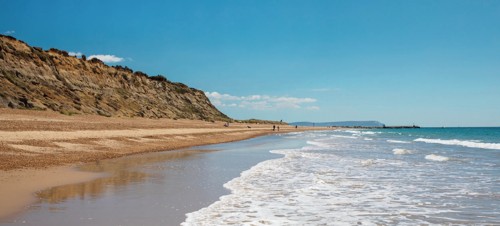 2. Southbourne Beach: for the dog who loves to swim
