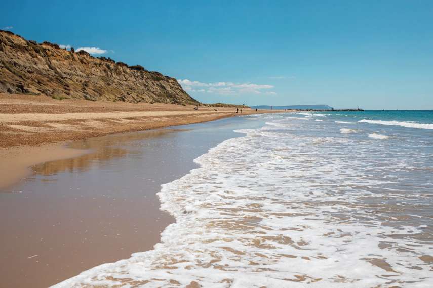 2. Southbourne Beach: for the dog who loves to swim