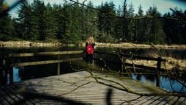 Grizedale Forest in the Lake District