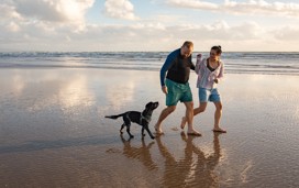 Family walking with dog on beach