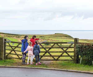 One of the areas to walk on the park