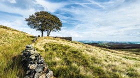 Haworth Moor, Lake District