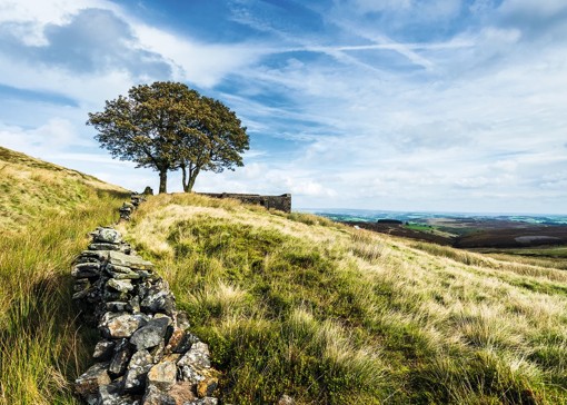 Best walks in Yorkshire