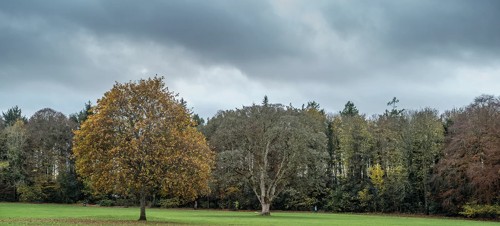 4. Rozelle Park 