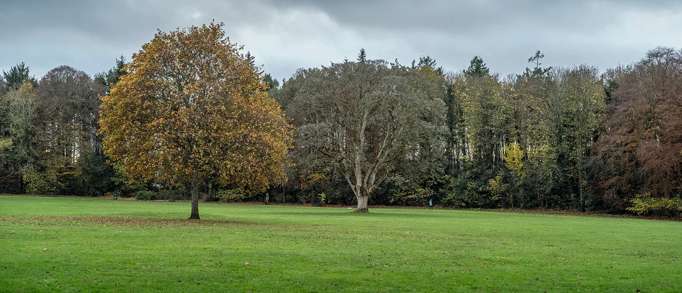 4. Rozelle Park 