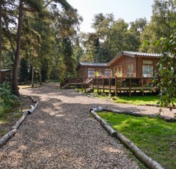 A woodland lodge at our Wild Duck Holiday Park in Norfolk.