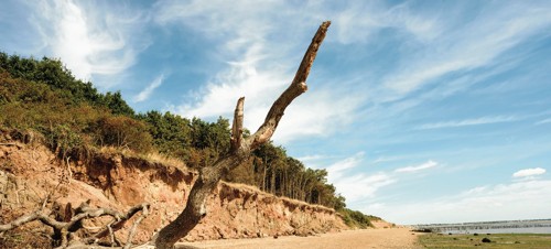 Cudmore Grove Beach, Mersea Island
