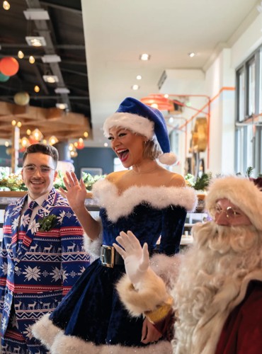 Festive, Christmas and New Year