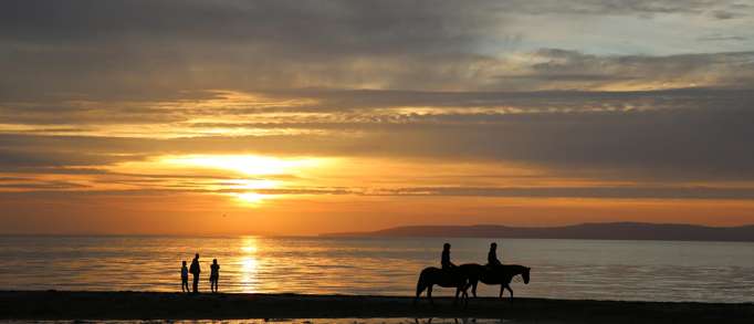 13. Ayrshire Equestrian Centre