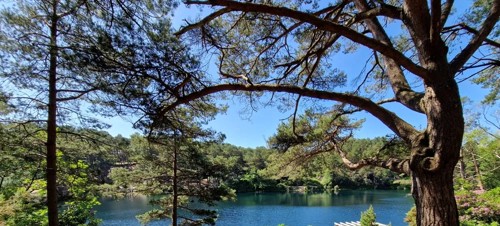 Gaze into The Blue Pool and Tea House 