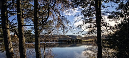 Gladhouse Reservoir
