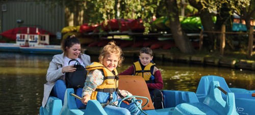 2. Pedalos
