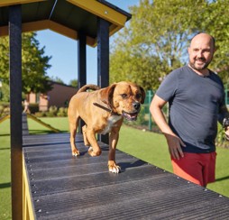 The Bark Yard at Cleethorpes Beach