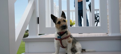 Things to do in Pagham