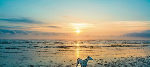 5. Saltfleetby Theddlethorpe Dunes Beach, near Mablethorpe