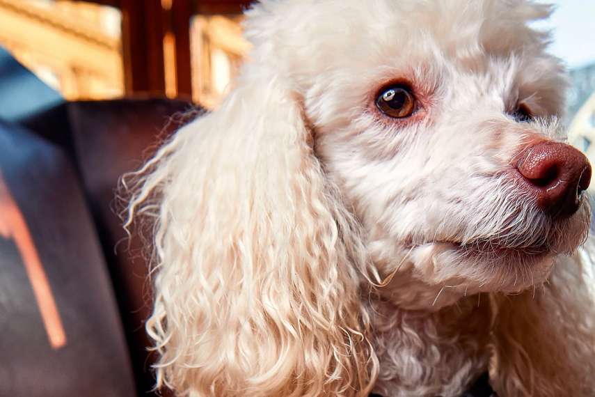 Stop for a bite at....