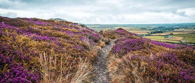 5. White Rocks to St Agnes Beacon 
