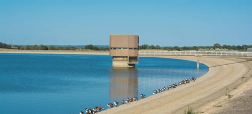 9. Arlington Reservoir and Nature Reserve 