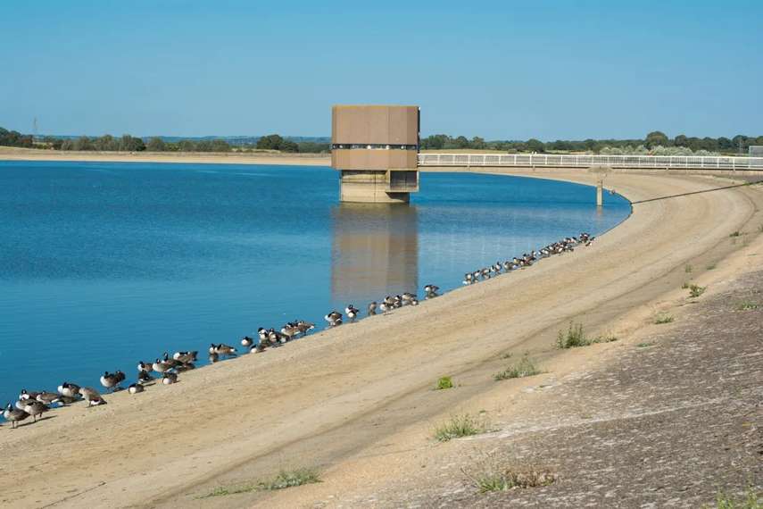 9. Arlington Reservoir and Nature Reserve 