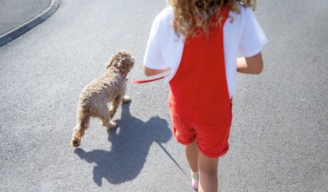 Static caravans for sale