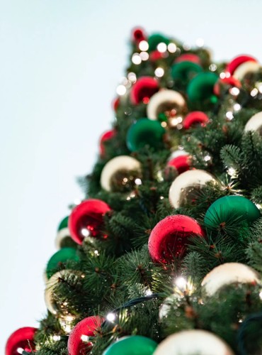 What's included in a Haven New Year break?