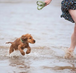 Easter breaks for everyone - not just the kids
