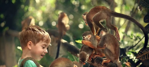 Best places to visit for babies and toddlers in Dorset