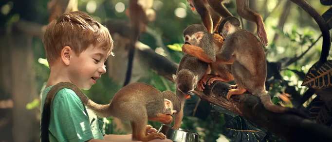Best places to visit for babies and toddlers in Dorset