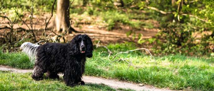 10. Mousehold Heath