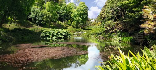 1. Trebah Gardens 