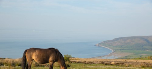 Porlock Weir circular walking route