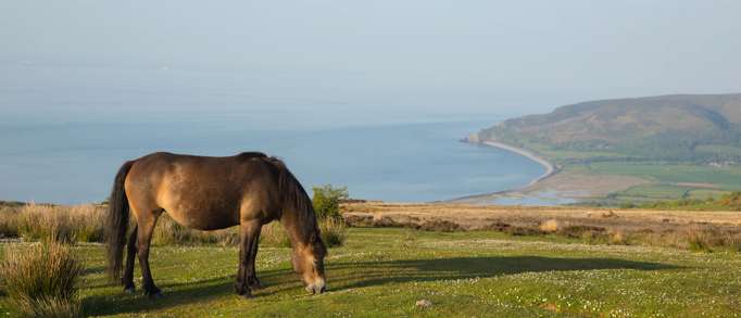 Porlock Weir circular walking route
