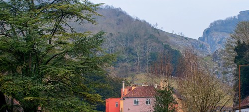 Explore Cheddar village 