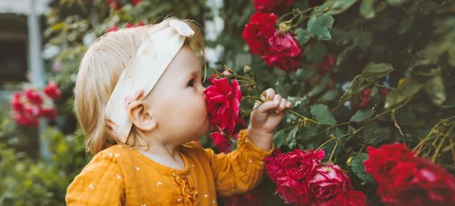Best places to visit for babies and toddlers in Northumberland
