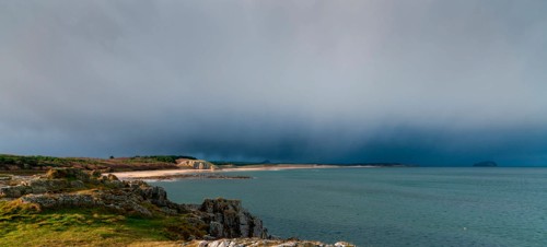 Tyninghame Woods and Beach walk
