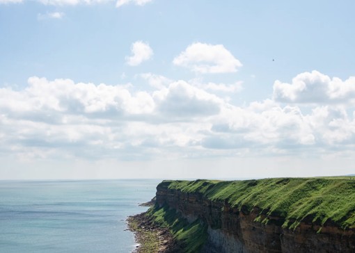 Dog-friendly things to do in Yorkshire