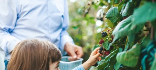 Best activity centres for kids aged 4-11 in Sussex
