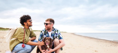 Already a dog owner? Here’s why you’ll love being a caravan owner too!