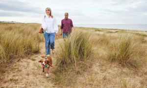 Direct access to Great Yarmouth's beachfront at Seashore