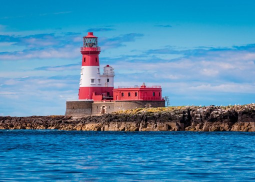 Boat trips to the Farne Islands