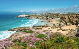 Newquay coastline