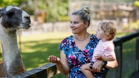 Adorable toddler girl and young mother petting animals in zoo. 