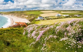 Cornwall landscape